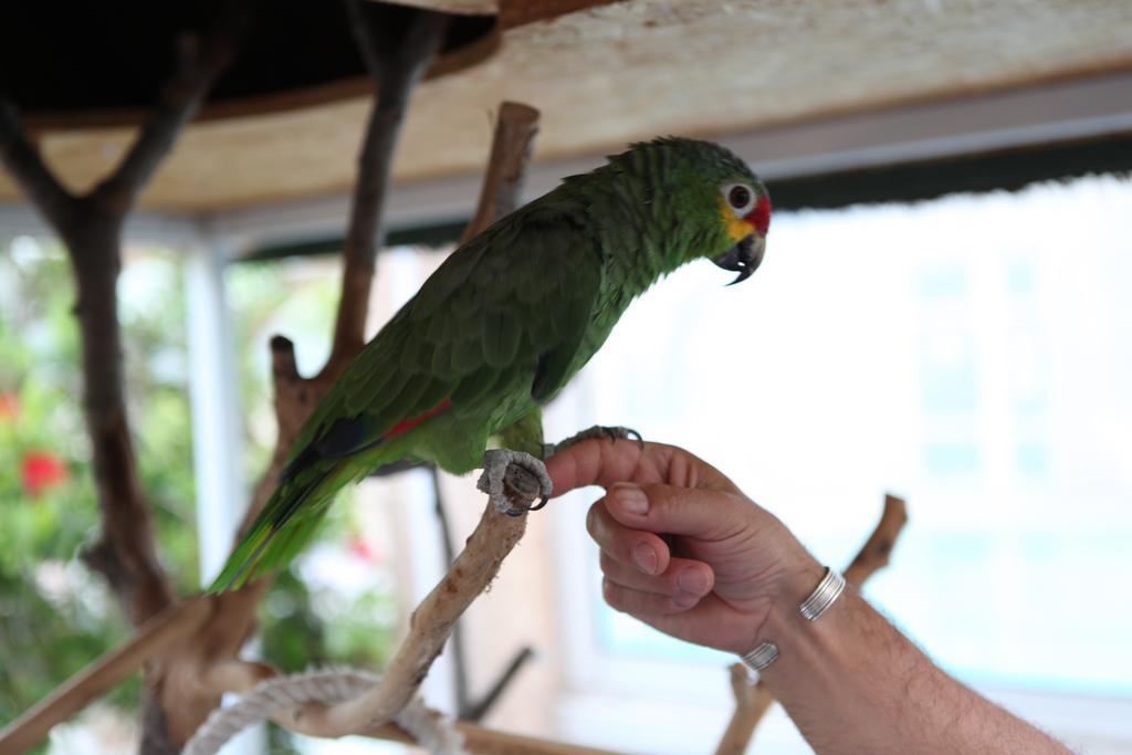 ホテル ジル ド フランス アグド エクステリア 写真